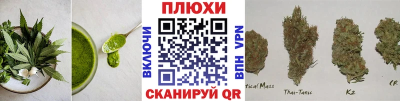 дарк нет Telegram  мега как войти  Новоалександровск  Еда ТГК марихуана 