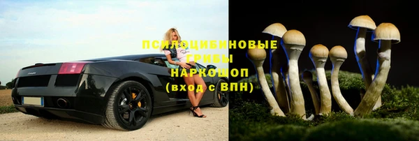 крисы Абдулино