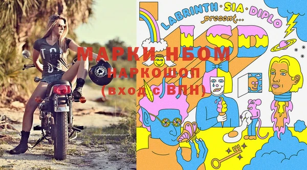молекула духа Алзамай