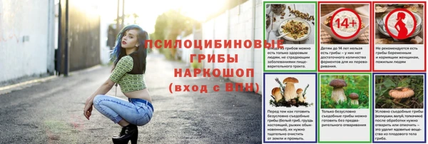 крисы Абдулино