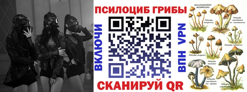 Псилоцибиновые грибы Psilocybine cubensis  гидра маркетплейс  Новоалександровск 